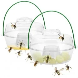 Trappola per Insetti a Bio-Attrattivo - Set 2 Pezzi (Natura Protetta) - trappola insetti giardino