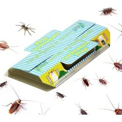 Trapro Trappole Adesive con Esca - Set 12 Pezzi (Eco-Friendly) - trapro scarafaggi